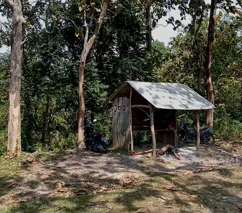 Bak Ada di Tahun 1980-an, Ini Cerita Unik Dusun Malangbong yang Letaknya di Tengah Hutan Bojonegoro