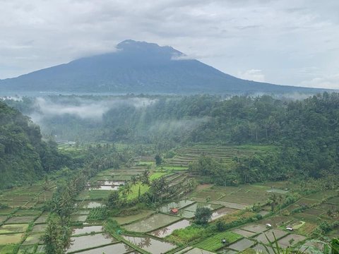 Didukung MFRI, Unud dan UGM Perkuat Kesiapsiagaan Bencana di Gunung Agung Bali