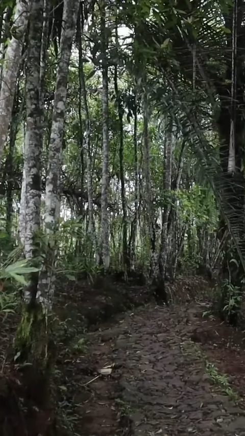 Kisah Kampung di Pelosok Gunung Tasikmalaya yang Belum Teraliri Listrik, Warga hanya Bisa Pakai Satu Lampu di Rumah