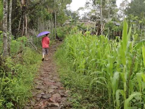 Kisah Kampung di Pelosok Gunung Tasikmalaya yang Belum Teraliri Listrik, Warga hanya Bisa Pakai Satu Lampu di Rumah