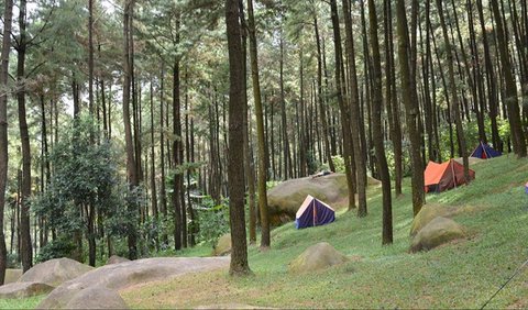 <b>Gunung Pancar</b><br>