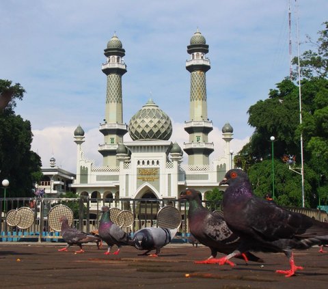 12 Destinasi Liburan Panjang di Malang dengan Budget Murah Tapi Healing Maksimal