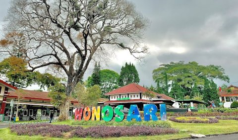 7. Perkebunan Teh Wonosari: Ketenangan di Tengah Hijauan