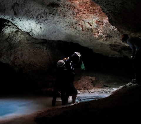 Megaproyek Kereta Maya di Meksiko kembali menjadi sorotan karena merusak gua kuno bawah tanah yang menakjubkan. Sistem gua bernama Aktun T'uyul, yang berada di Playa del Carmen, negara bagian Quintana Roo, Meksiko, menjadi korban pembangunan konstruksi proyek kereta api tersebut. REUTERS/Paola Chiomante