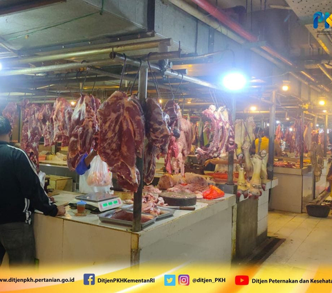 Ingat, Kuota Impor Daging Sapi Harusnya Mengacu Rekomendasi Kementerian Pertanian