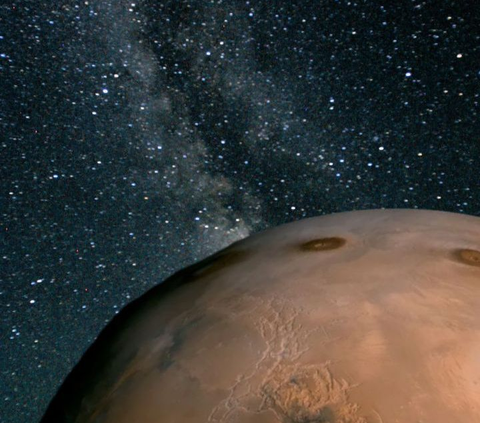 Lalu, bagaimana hasilnya? Ternyata, cukup “nyaman” dengan situasi di Mars, sehingga ia dapat berkembang biak dengan baik. 