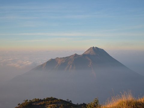 Binatang Jelmaan Makhluk Halus