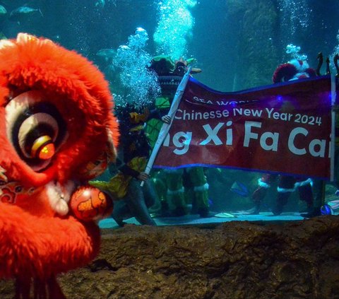 FOTO: Menyaksikan Atraksi Barongsai di Akuarium Sea World Ancol Jelang Perayaan Imlek