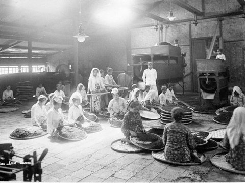 Fotografer Perempuan Pertama di Hindia Belanda Ini Konon Jadi Pencetus Istilah 'Swiss Van Java' Garut, Ini Sosoknya