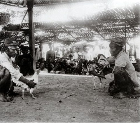 Fotografer Perempuan Pertama di Hindia Belanda Ini Konon Jadi Pencetus Istilah 'Swiss Van Java' Garut, Ini Sosoknya