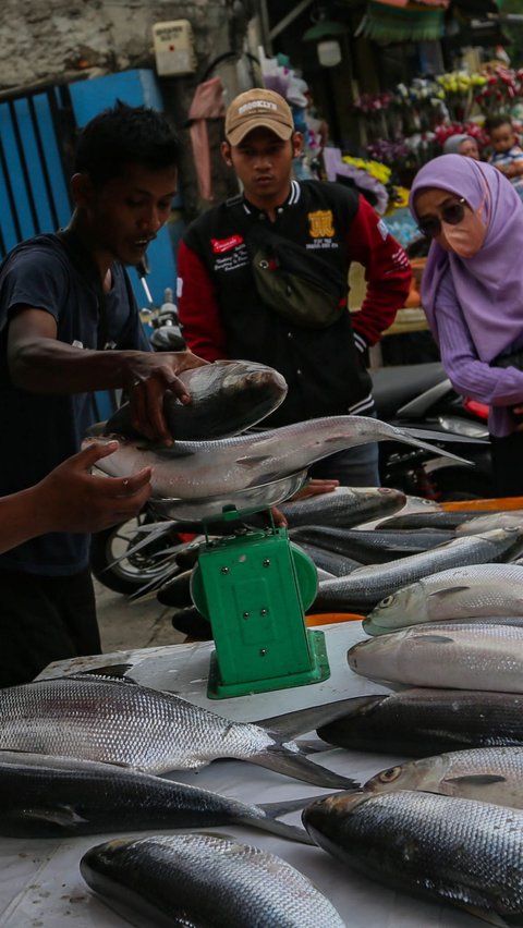 Di sisi lain, manfaat ikan bandeng sudah tidak diragukan lagi. Bahkan, kandungan gizinya lebih baik daripada ikan salmon. 