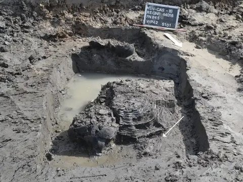 Arkeolog Temukan Benih Tanaman Beracun dalam Tulang Hewan, Narkotika Orang Romawi Kuno