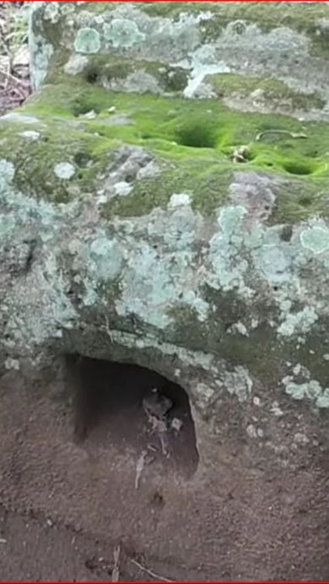 Batu Besar Misterius di Demak Ini Berada di Tengah Ladang Warga, Ini Fakta di Baliknya