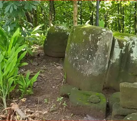 Batu Besar Misterius di Demak Ini Berada di Tengah Ladang Warga, Ini Fakta di Baliknya