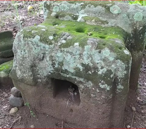 Batu Besar Misterius di Demak Ini Berada di Tengah Ladang Warga, Ini Fakta di Baliknya