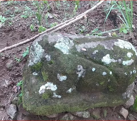 Batu Besar Misterius di Demak Ini Berada di Tengah Ladang Warga, Ini Fakta di Baliknya