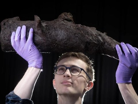 Discovery of a 4500-Year-Old 'Time Capsule' in Peat Land, Shocking Contents Revealed
