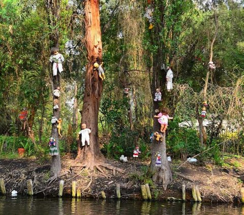 Ngerinya Suasana Pulau Boneka di Meksiko, Berani ke Sini?