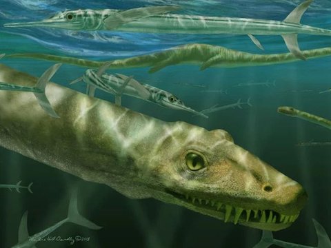 Scientists Discover 240 Million-Year-Old Dragon Fossils, Not Just Myths?