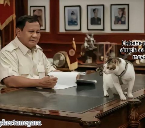 The cost of treating Bobby the Cat Prabowo makes the heart melt, can be used for free lunch for 13 children
