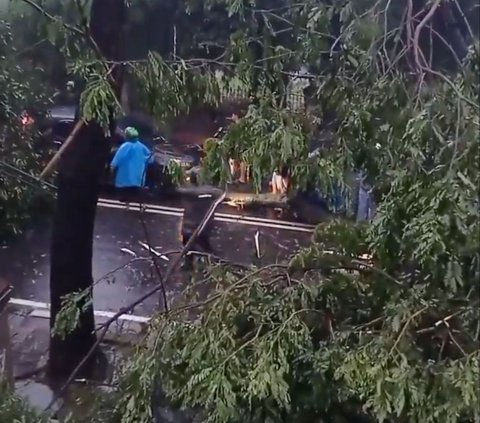Penumpang Menumpuk di Stasiun Tanah Abang dan Palmerah Imbas Pohon Tumbang