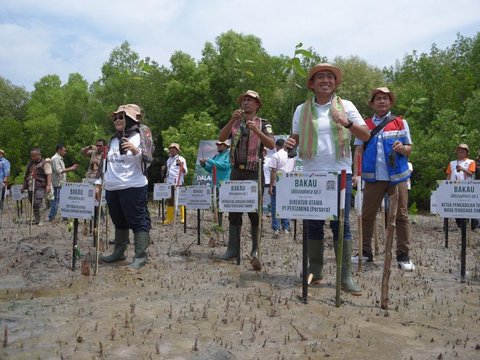 Dukung Upaya Mitigasi Perubahan Iklim, Pertamina Rehabilitasi Mangrove di NTT