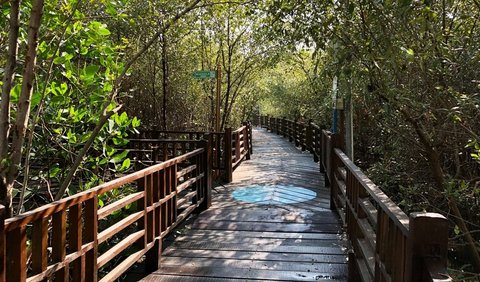 Kebun Raya Mangrove, Gunung Anyar