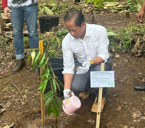 Dirjen Planologi: D3TLH Jadi Rambu Pemanfaatan SDA untuk Pembangunan