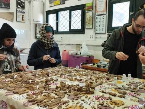 Arkeolog Temukan Makam Berusia 4.000 Tahun di Dalam Gua, Berisi 7.000 Tulang Manusia