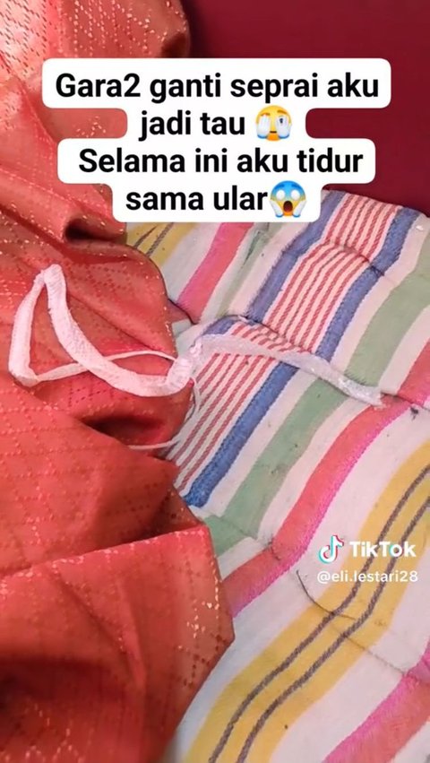 Video ini pun viral dan sukses membuat warganet ikut merinding. Wanita ini juga merasa heran bagaimana bisa ada kulit ular di bawah kasur.