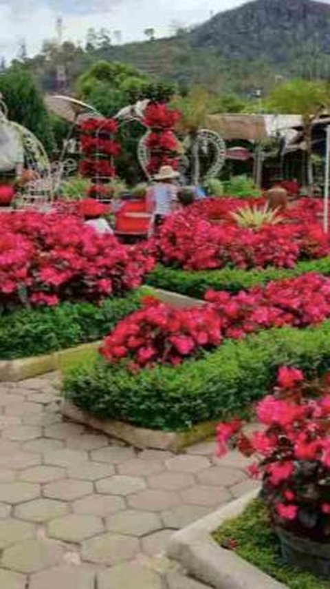 3. Taman Begonia<br>