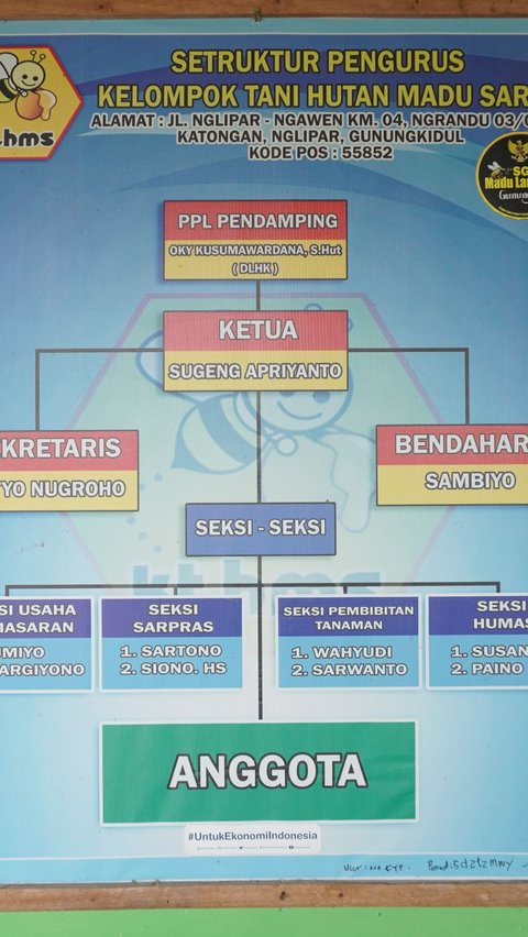 Manfaat Kesehatan sampai Ekonomi dari Madu Lanceng