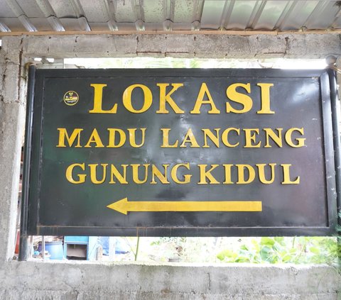 Kisah Sugeng Kembangkan Madu Emas dari Gunungkidul