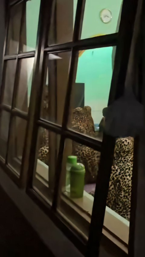 Only in Indonesia, Tarawih Congregants Wear Leopard Print Prayer Robes, Netizens: 'Angels are Surprised Automatically'