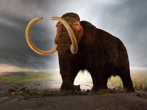 Scientists Will Revive Mammoths in 2028, Is it Possible?