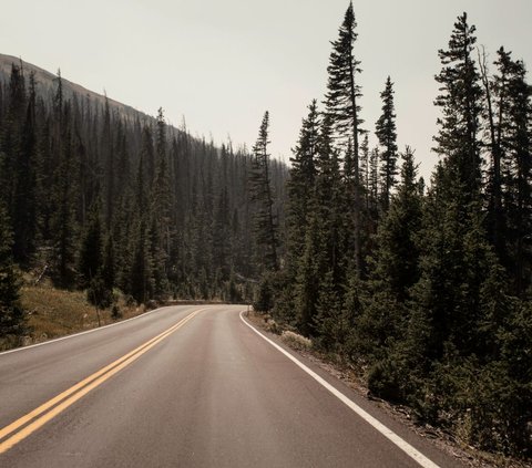 Di Mana Jalan Raya Terpanjang di Dunia? Di Sini Lokasinya