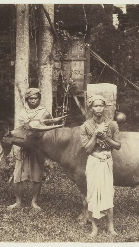 <b>Asal-usul Orang Kincai, Konon Jadi Penghuni Pertama dan Tertua di Pulau Sumatra</b><br>