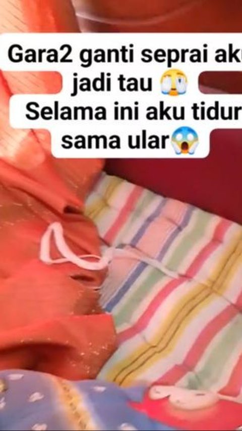 Ngeri! Wanita Ini Tak Sadar Selama Ini Tidur Bareng Ular Usai Menemukan Kulitnya di Bawah Sprei