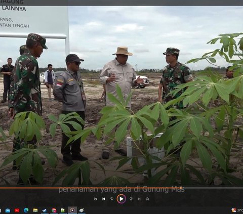 Panen Raya Food Estate di Gunung Mas