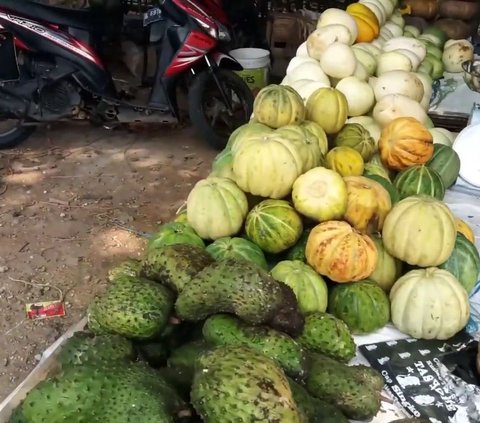 Desa Sriamur Jadi Lokasi Wisata Timun Suri di Bekasi saat Ramadan, Ini Sederet Daya Tariknya