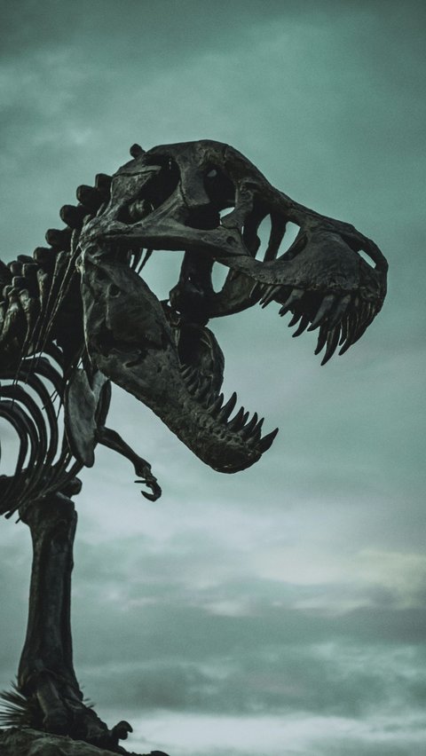 Penelitian Terkini Megalosaurus<br>