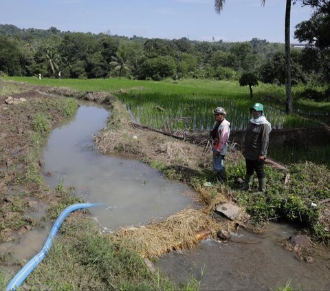 Kejar Produksi dan Tanam dua kali, Kementan Bantu Petani di Sukabumi Irigasi Perpompaan