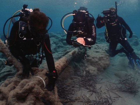 Menyelam Hingga 47 Meter Di Bawah Laut, Penyelam Temukan 10 Bangkai Kapal Kuno dari Zaman Romawi Sampai Perang Dunia