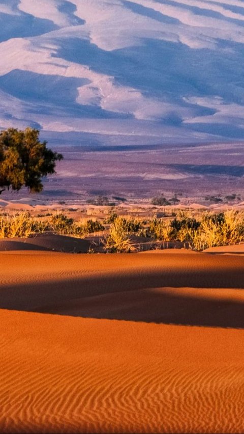 Bukan Fatamorgana, 6 Danau Ini Benar-Benar Ada di Gurun Sahara