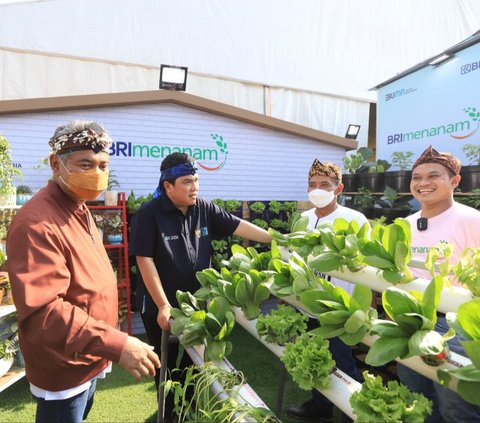 Desa Polengan Magelang Terima Ratusan Bibit Pohon dari BRI Menanam