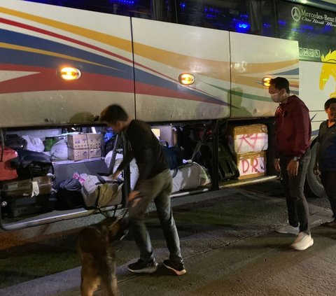 Aksi Anjing K9 Polri Gagalkan Penyelundupan Narkoba di Pelabuhan Bakauheni