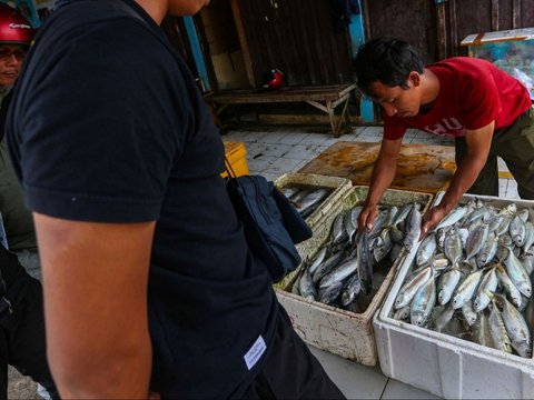 Foto: KKP Sebut Ketersediaan Ikan Selama Ramadan hingga Idulfitri Aman
