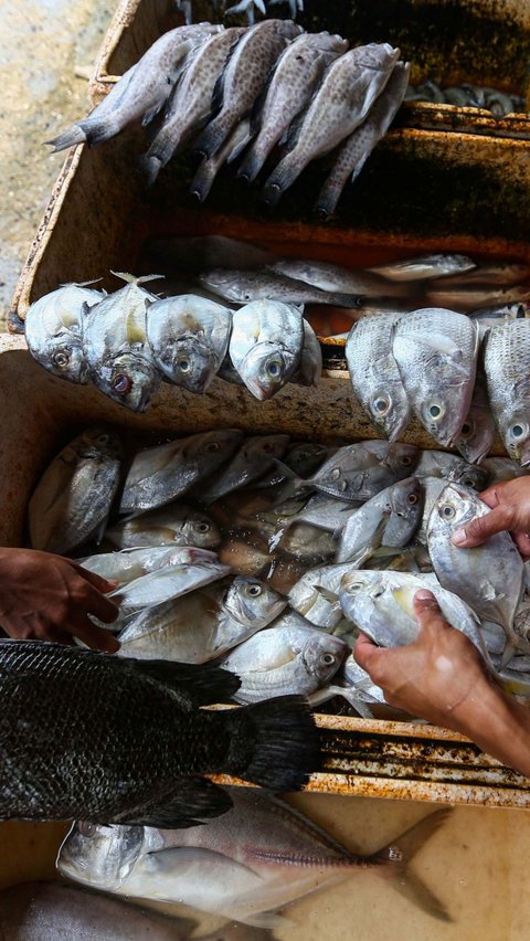 Ketersediaan ikan yang diperkirakan yaitu sebesar 3,10 juta ton dari jumlah permintaan sekitar 2,46 juta ton ikan selama Maret dan April 2024. Foto: Liputan6.com / Angga Yuniar
