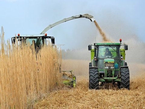 Penggunaan Biodiesel