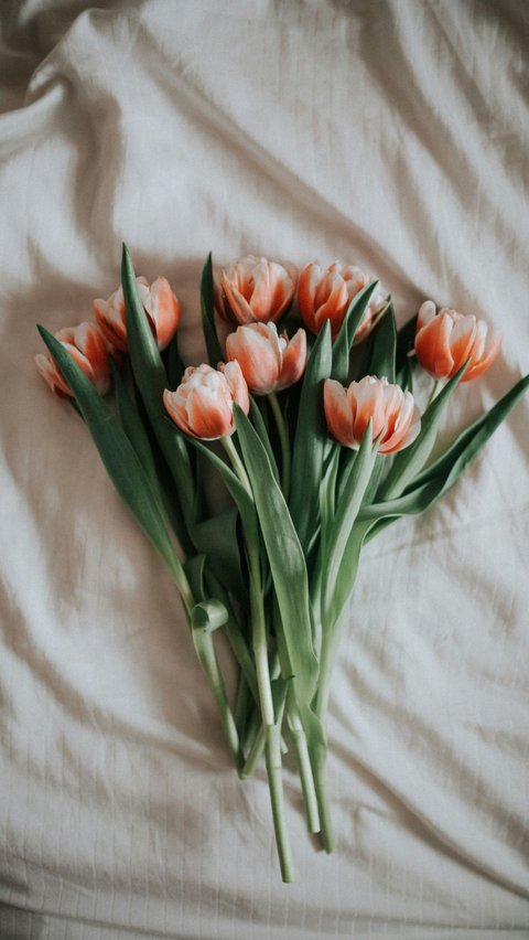 Tulip Dulunya Sangat Mahal<br>